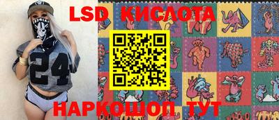 тгк Бийск