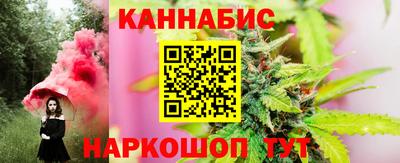 тгк Бийск
