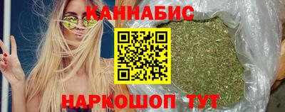 тгк Бийск