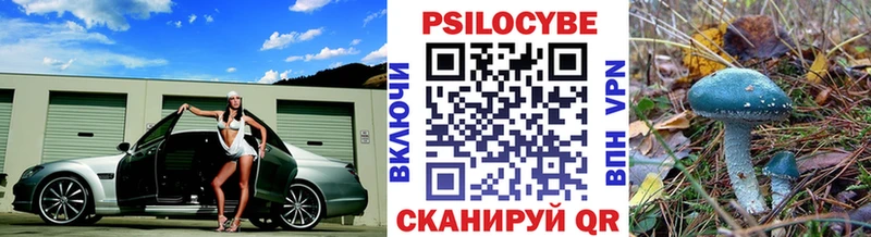 Псилоцибиновые грибы мицелий  Всеволожск 