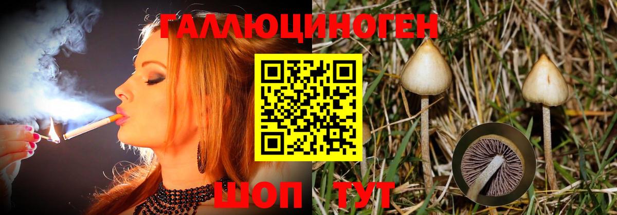 Галлюциногенные грибы MAGIC MUSHROOMS Всеволожск