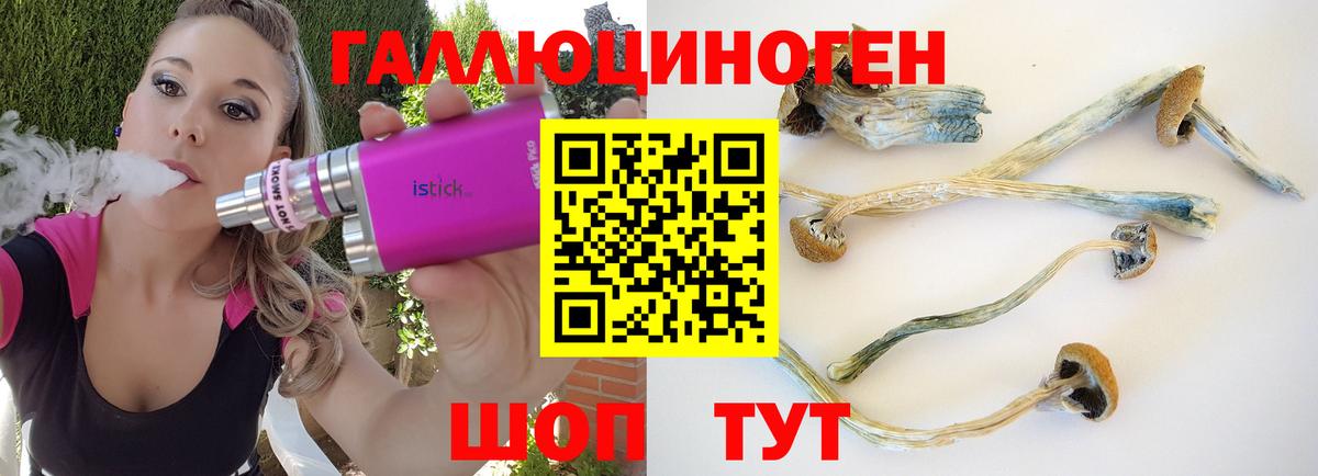 Псилоцибиновые грибы Psilocybe  Всеволожск  Псилоцибиновые грибы ЛСД 